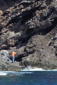 Portugal, Ile de Madère, randonnée dans la réserve naturelle de la Ponta de Sao Lourenço (pointe Saint Laurent) à l'extrême Est de l'ile, pecheur à la ligne qui vient d'attraper un poisson