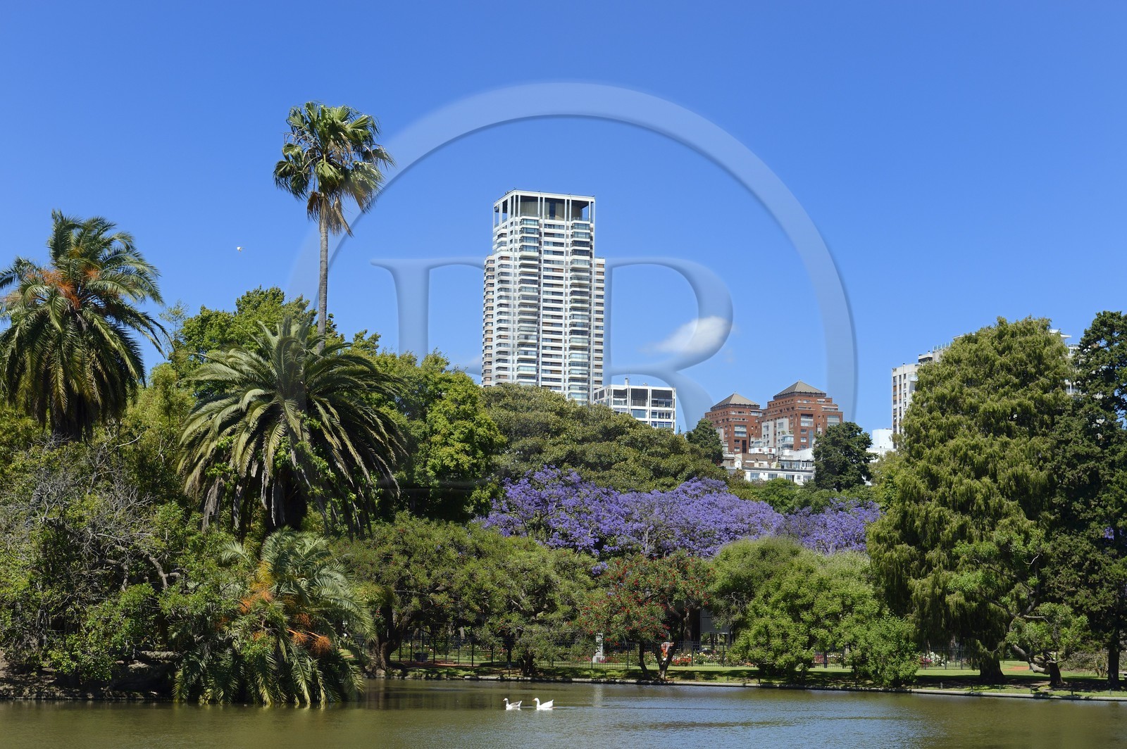 Argentina, Buenos Aires, Palermo park, Plaza Holanda Lake