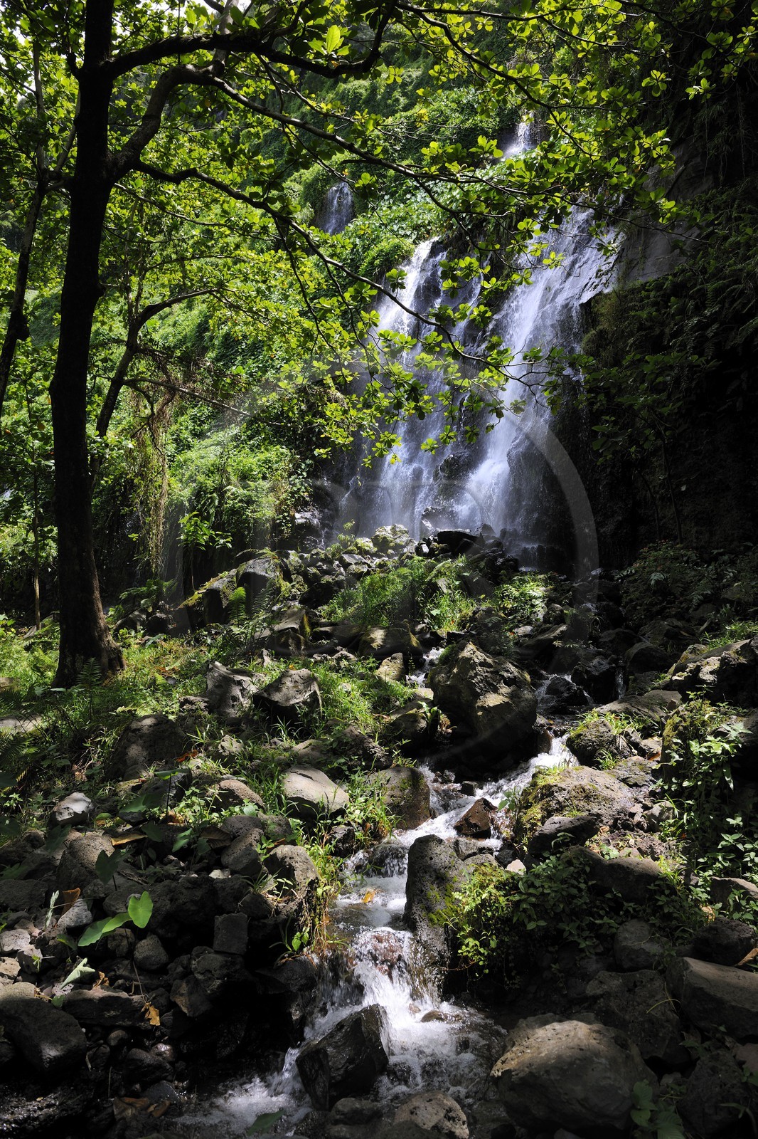 France, île de la Réunion, anse des Cascades, au sud de Piton-Sainte-Rose, classé Patrimoine Mondial de l'UNESCO