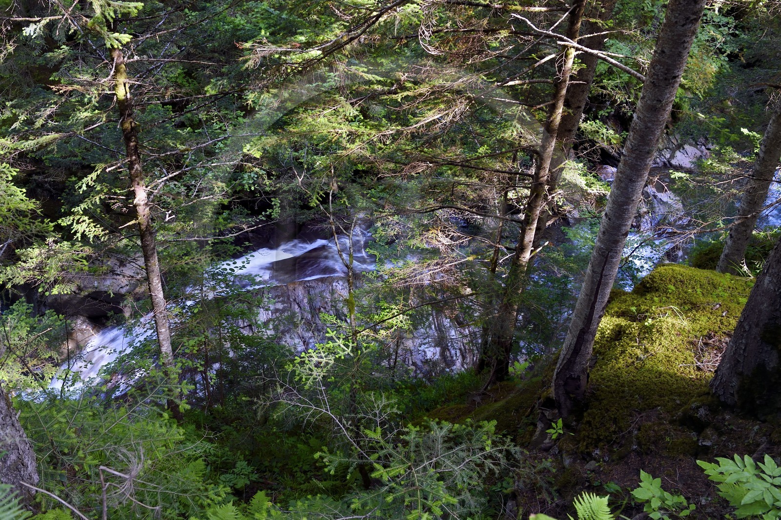 France, Hautes-Pyrénées (65), Saint-Lary-Soulan, vallée du Rioumajou, la (rivière) Neste de Rioumajou