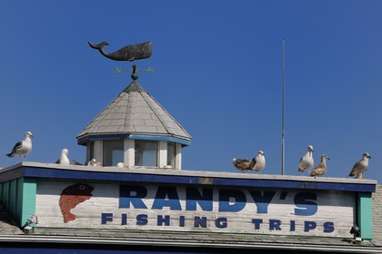 Etats-Unis, Californie, Monterey, Fisherman's Warf (Quai des pêcheurs), détail toit et girouette