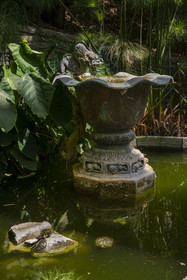 Italie, Ligurie, Province d'Imperia, Vintimille, Jardin botanique Hanbury, la fontaine du Dragon et tortues