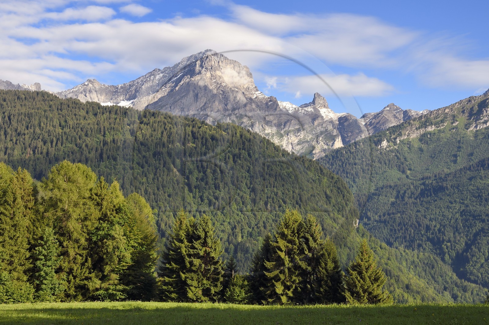 Suisse, canton de Vaud, Gryon, panorama sur le massif de l'Argentine surplombant Solalex