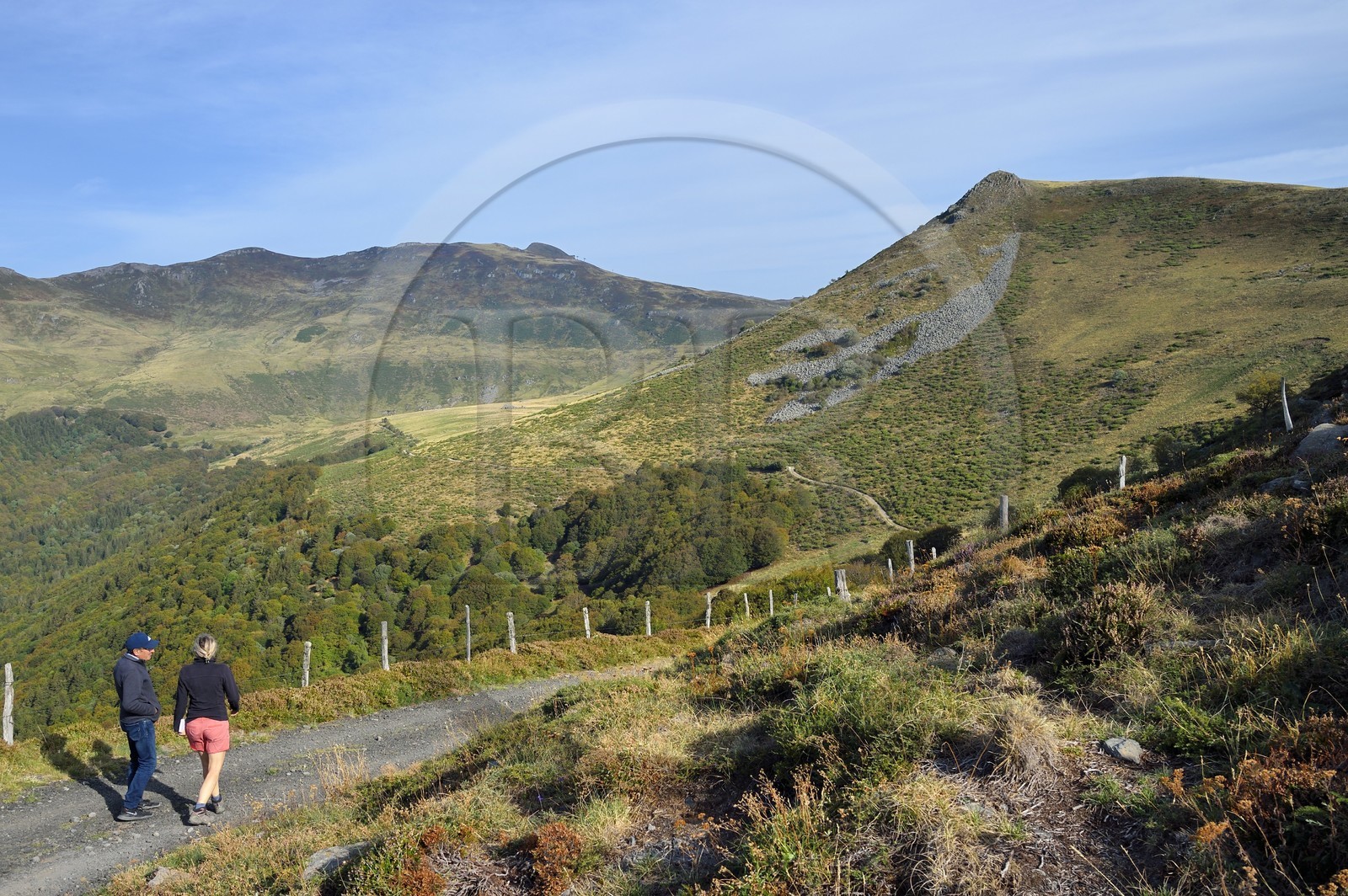 France, Cantal, Parc Naturel Régional des Volcans d'Auvergne (regional nature park of Auvergne volcanoes), Brezons valley which begins in the circus of Grandval at the foot of the Plomb du Cantal which can be seen in the background and to the right of the Puy Gerbel