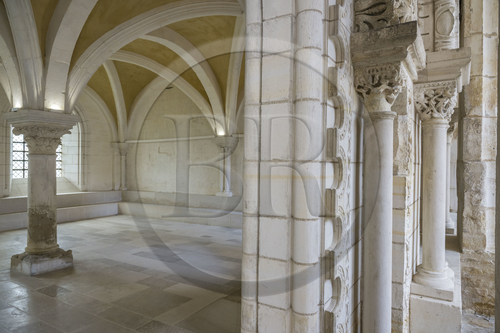 France, Yonne, Auxerre, Saint Germain Abbey, the chapter house of the cloister and its 12th century wall found after the reconstruction at the end of the 17th century