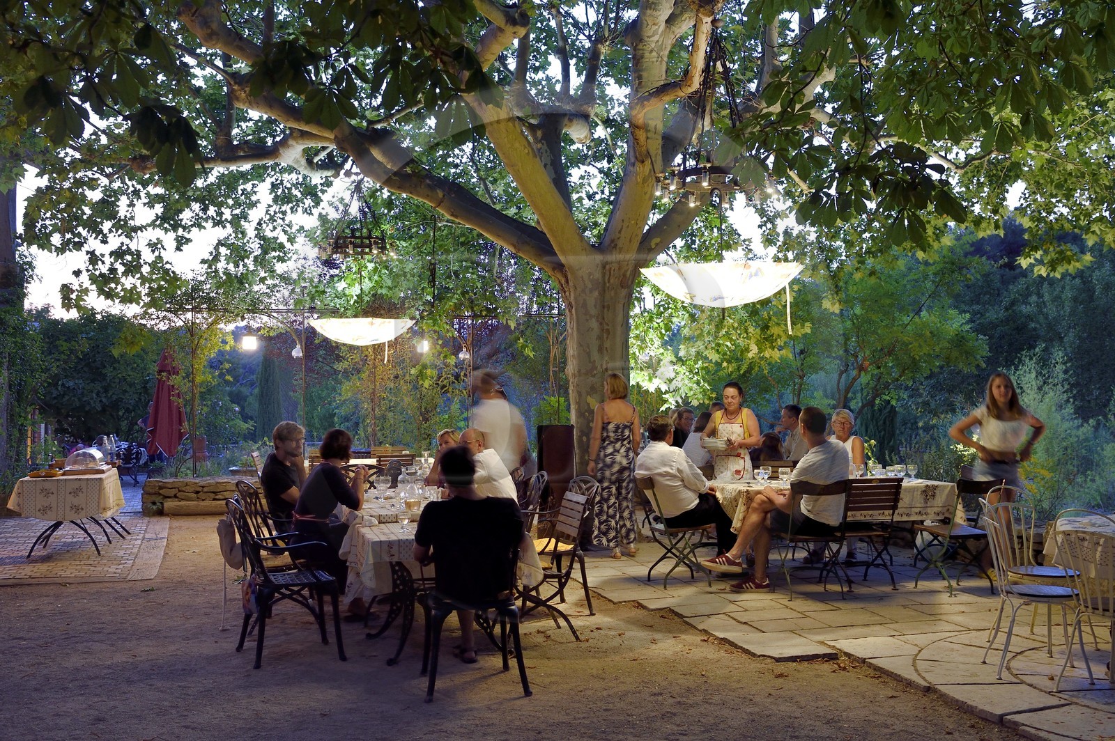 France, Var (83), Provence Verte, Bras, vers Saint-Maximin-la-Sainte-Baume, la maison d'hotes Le Peyrourier - une campagne en Provence