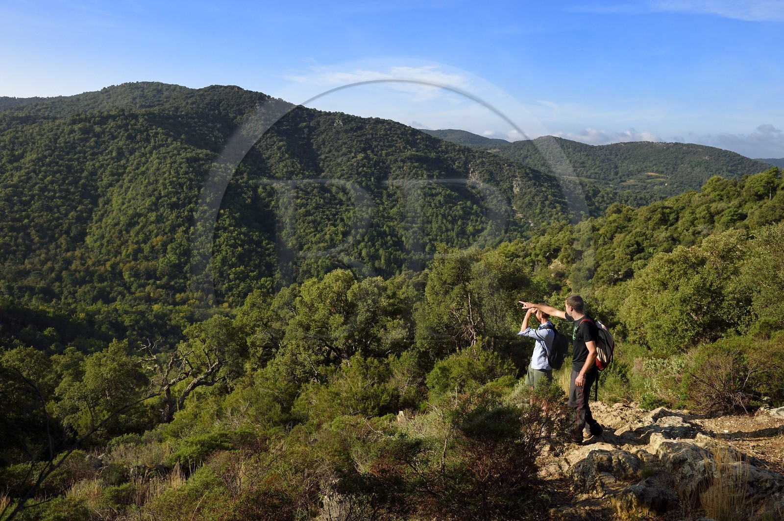 France, Var, Massif des Maures, Collobrières, Lambert menhirs hiking in the valley behind the village