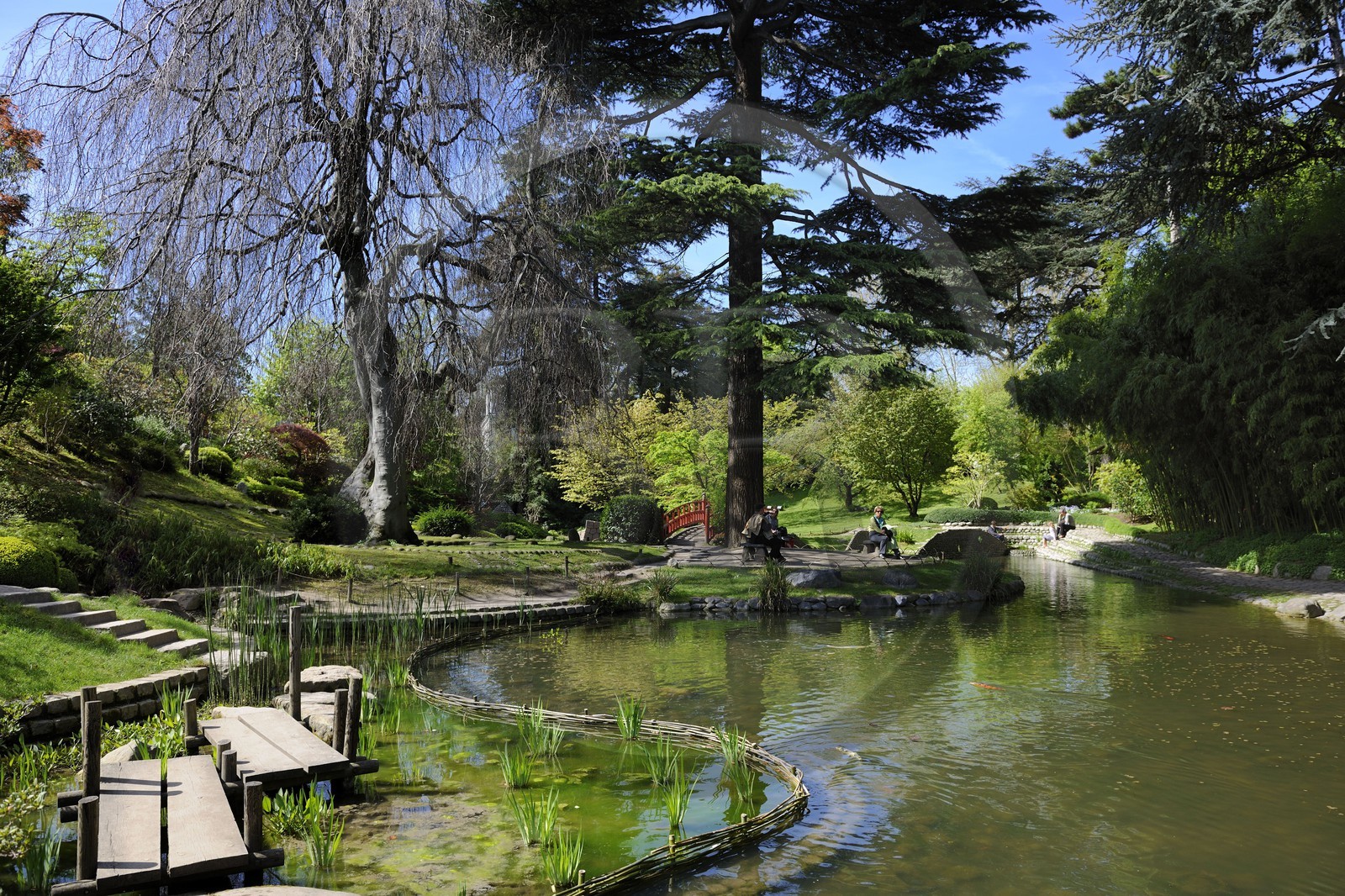 France, Hauts-de-Seine (92), Boulogne-Billancourt, le jardin japonais du musée départemental Albert-Kahn