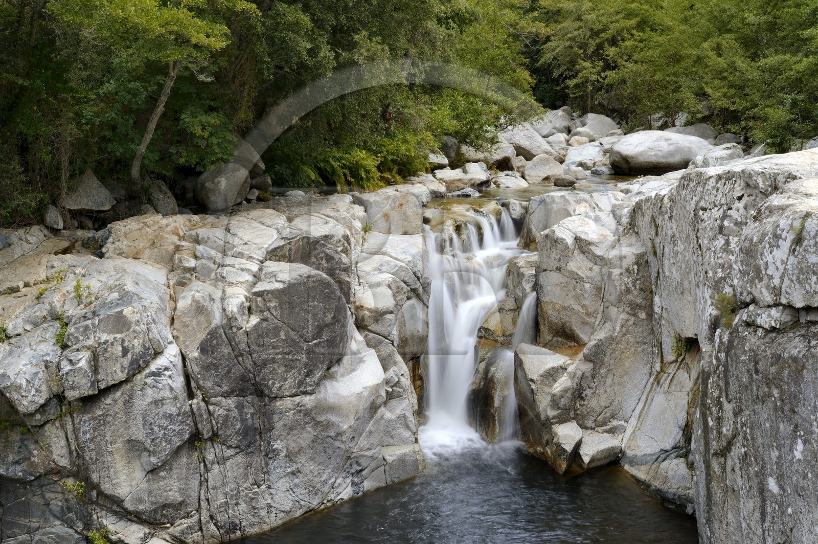 France, Corse-du-Sud (2A), région de Sartène, la rivière Rizzanèse au Ponte Vecchiu de Zoza