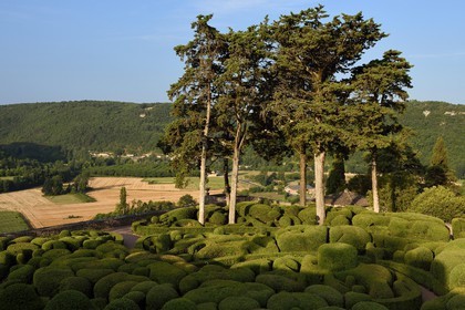 France, Dordogne (24), Périgord Noir, vallée de la Dordogne, Vézac, les jardins du château de Marqueyssac du XVIIIe siècle, jardins de buis en terrasse inspirés par André Le Nôtre
