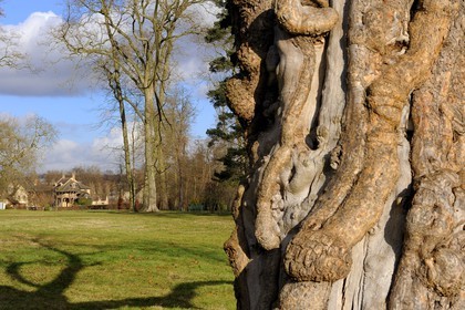 France, Yvelines (78), château de Versailles, classé Patrimoine Mondial de l'UNESCO, le domaine de Marie-Antoinette, le Hameau de la Reine, la tour de Marlborough