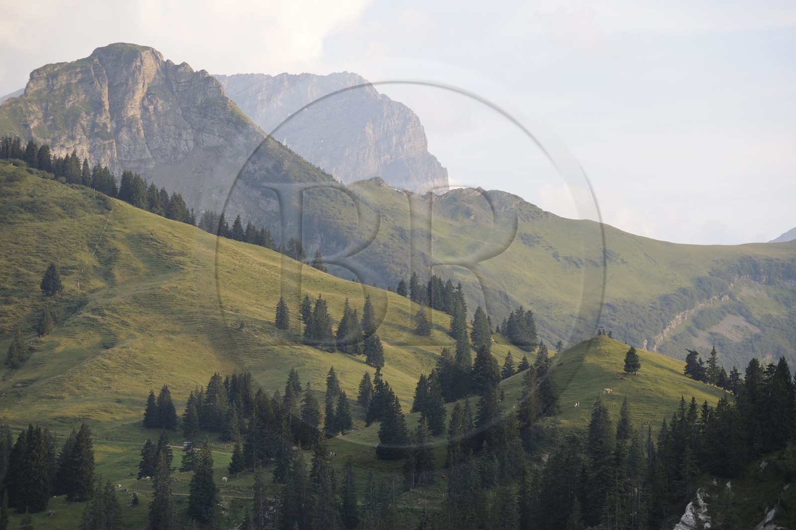 Switzerland, canton of Vaud, Les Diablerets at Col de la Croix