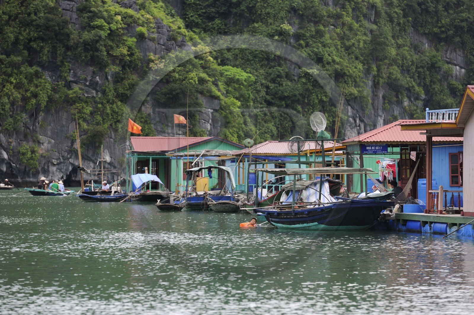 Vietnam, province de Quang Ninh, la Baie d'Halong classée Patrimoine Mondial de l'UNESCO, village flottant de pêcheurs de Vong Vieng