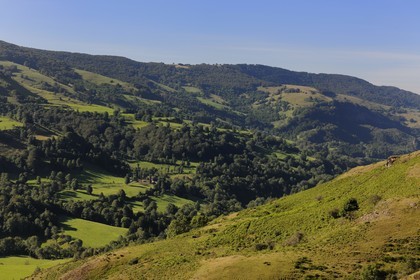 France, Cantal (15), monts du Cantal, Parc Naturel Régional des Volcans d' Auvergne, vallée de la Cère à Saint-Jacques-des-Blats
