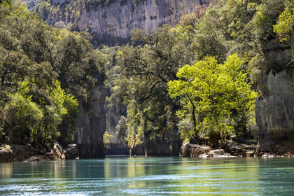 Var (83) rive gauche et Alpes-de-Haute-Provence (04) rive droite, Parc Naturel Régional du Verdon, Basses Gorges du Verdon en aval du lac de Sainte Croix, gorges de Baudinard
