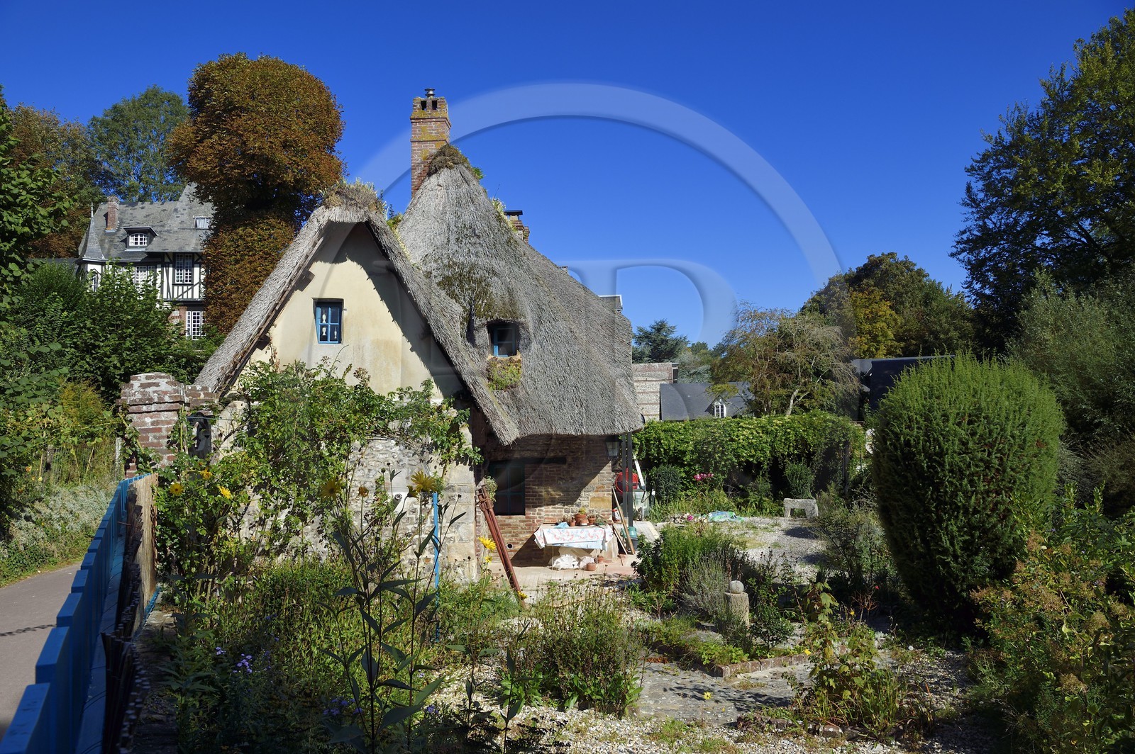 France, Seine-Maritime (76), Côte d'Albatre, Pays de Caux, Veules-les-Roses, labellisé Les Plus Beaux Villages de France, maison à toit de chaume