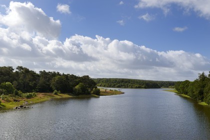 France, Morbihan (56), forêt de Brocéliande, Concoret, le château de Comper qui abrite les expositions du Centre de l'imaginaire arthurien, le Grand Etang ou Lac de Viviane