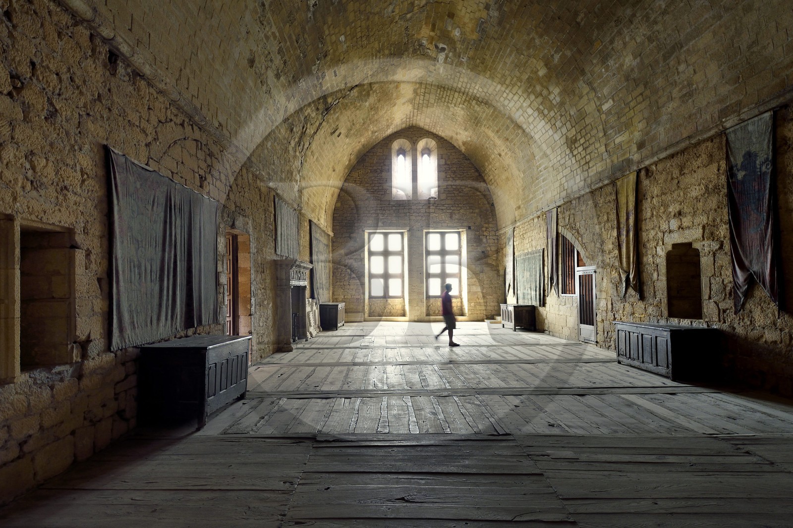 France, Dordogne, Perigord Noir, Dordogne Valley, Beynac et Cazenac, labelled Les Plus Beaux Villages de France (The Most Beautiful villages of France), the 13th century castle, the Salle des Etats (States' Hall)