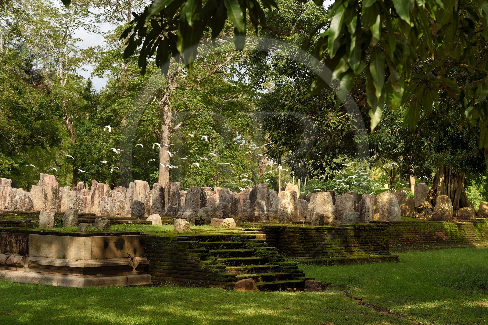 Sri Lanka, province du Centre-Nord, site d'Anuradhapura classé Patrimoine Mondial de l'UNESCO, capitale du Sri Lanka au IIIe siècle avant JC, ruine de la salle capitulaire d'un temple au sud du dagoba de Jetavanarama