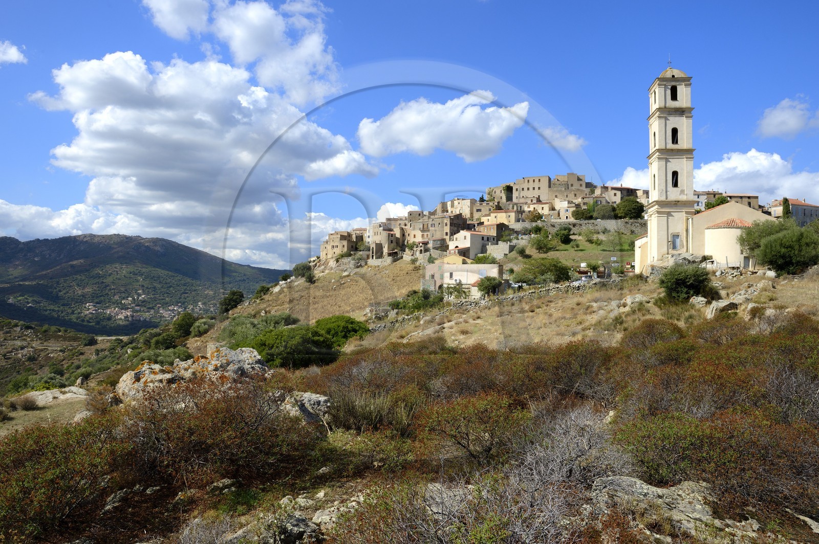 France, Haute-Corse (2B), Balagne, village perché de Sant'Antonino, labellisé Les Plus Beaux Villages de France, vue générale du village avec l'église de l'Annonciation