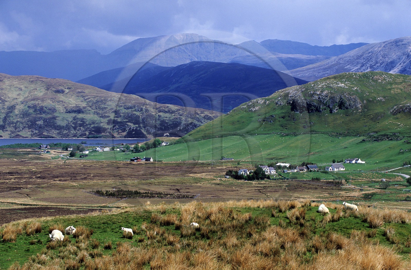 Royaume-Uni, Ecosse, région des Highlands, Sutherland, région du Ben More Assynt