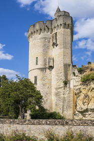 France, Maine-et-Loire, Loire valley listed as World Heritage by UNESCO, Gennes-Val-de-Loire, the Trèves tower