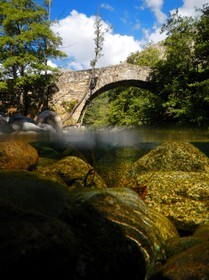 France, Haute-Corse (2B), région du Niolu (Niolo), pont génois de Murricciolu et les dessous de la rivière Calasima