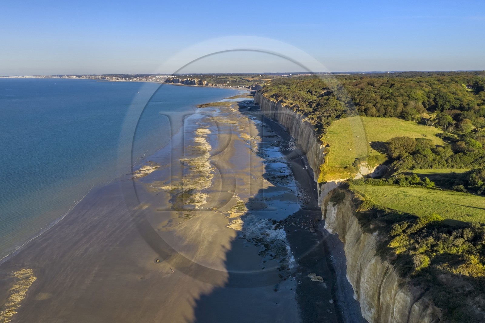 France, Seine-Maritime (76), Côte d'Albatre, Pays de Caux, les falaises de la cote à Varengeville-sur-Mer et dieppe en arrière plan (vue aérienne)