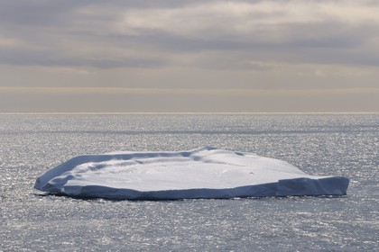 Groenland, région méridionale, iceberg