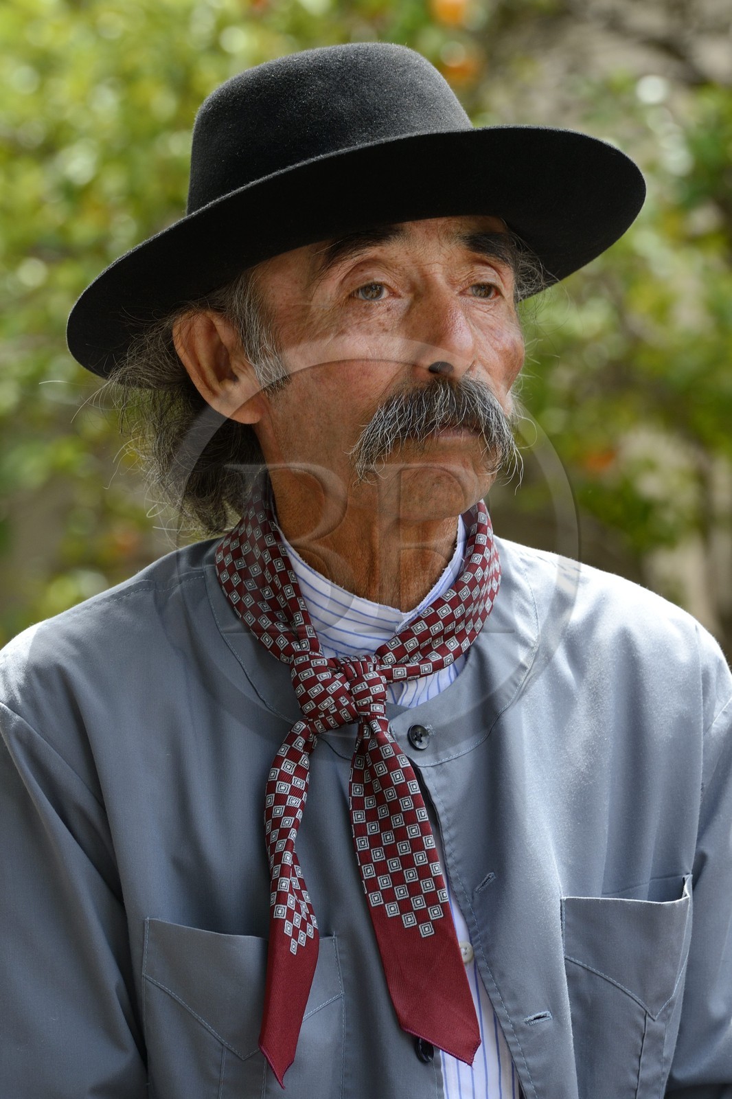 Argentina, Buenos Aires Province, San Antonio de Areco, gaucho at the Tradition Day festival (Dia de Tradicion)