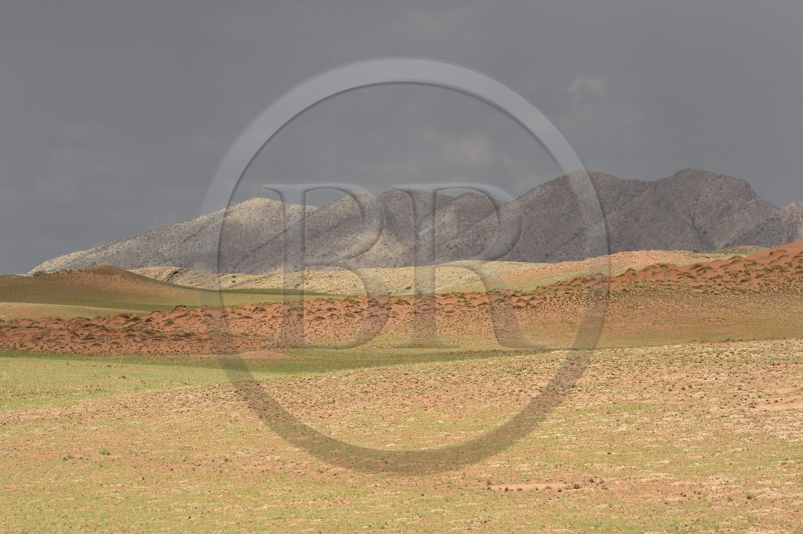 Namibie, région de Erongo, désert du Namib en bordure du parc national Namib Naukluft