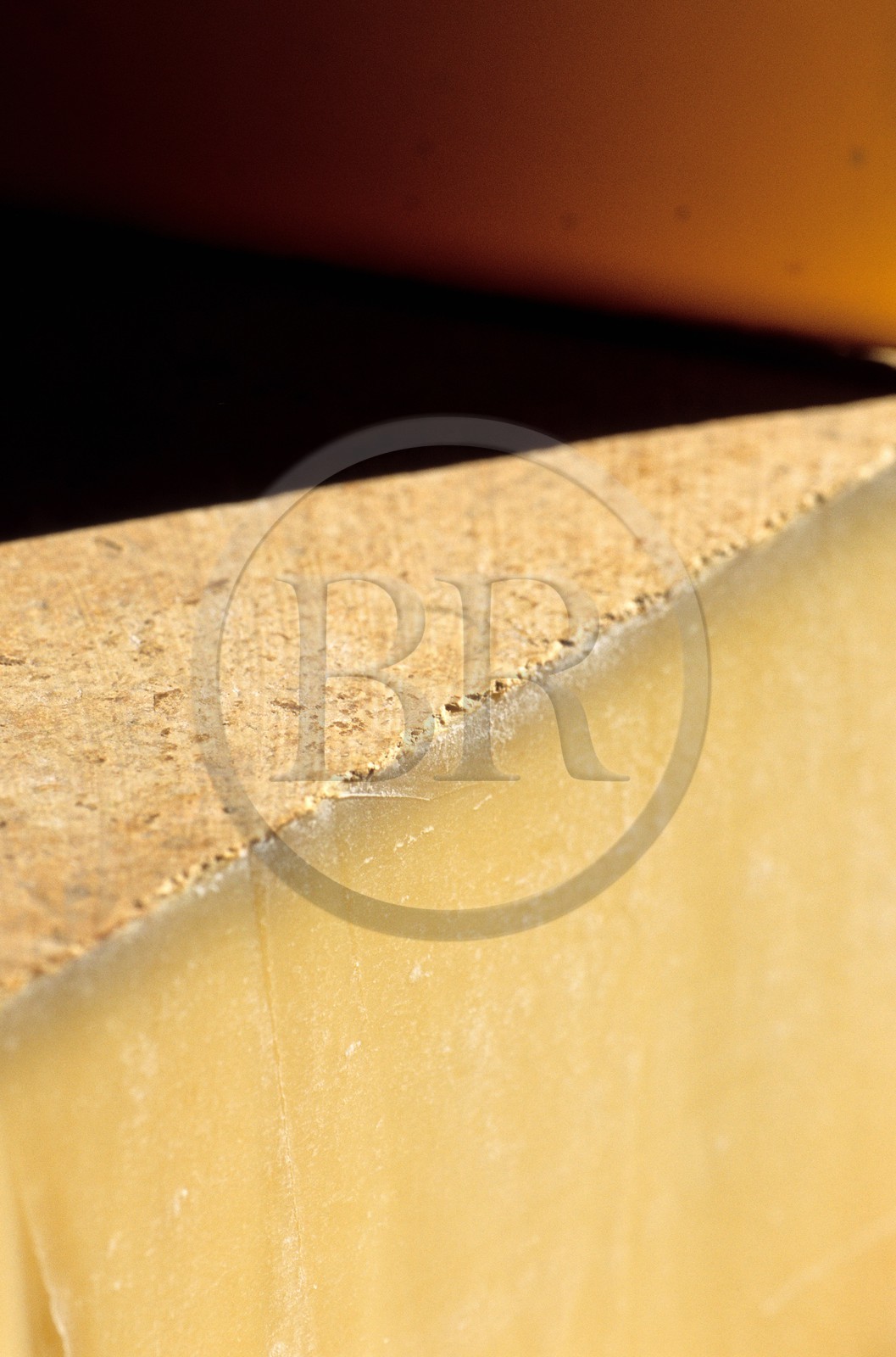 France, Doubs, Fort Saint Antoine, Comte mountain cheese maturing cellar