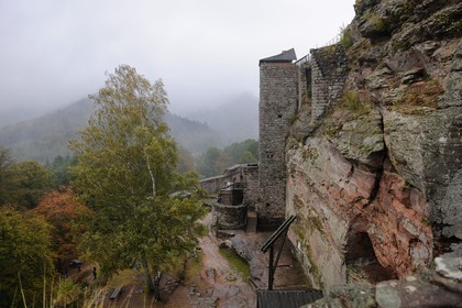 France, Bas Rhin, Lembach, Fleckenstein Castle