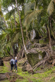 France, French Guiana, Kourou, Salvation Islands (Iles du Salut), Royal Island, hiking on the coastal path