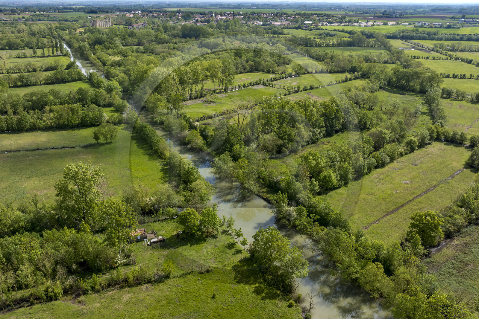 France, Vendée (85), Parc Interrégional du Marais Poitevin labellisé Grand Site de France, Maillezais, parcelles de terres entrecoupées par les affluents de l'Autise, les vestiges de l'abbaye Saint-Pierre de Maillezais en arrière plan (vue aérienne)
