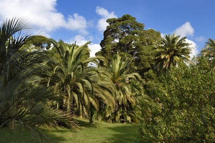France, Alpes-Maritimes (06), Antibes, Jardin botanique de la Villa Thuret