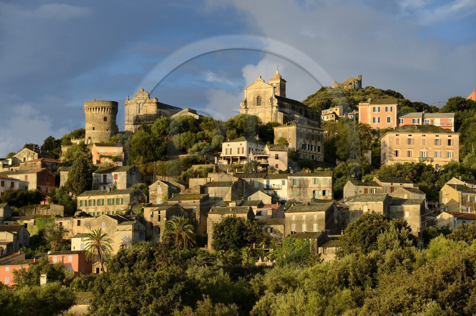 France, Haute Corse, Cap Corse, Rogliano municipality, village of Bettolacce (Bettulace) overlooked by the round Genoese tower della Parocchia, fortified tower of the fifteenth century
