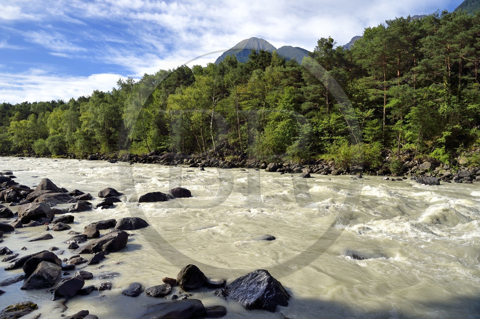 Suisse, Canton de Vaud, Lavey-Morcles, le fleuve Rhône encore tumultueux quelques kilomètres en amont du Lac Léman