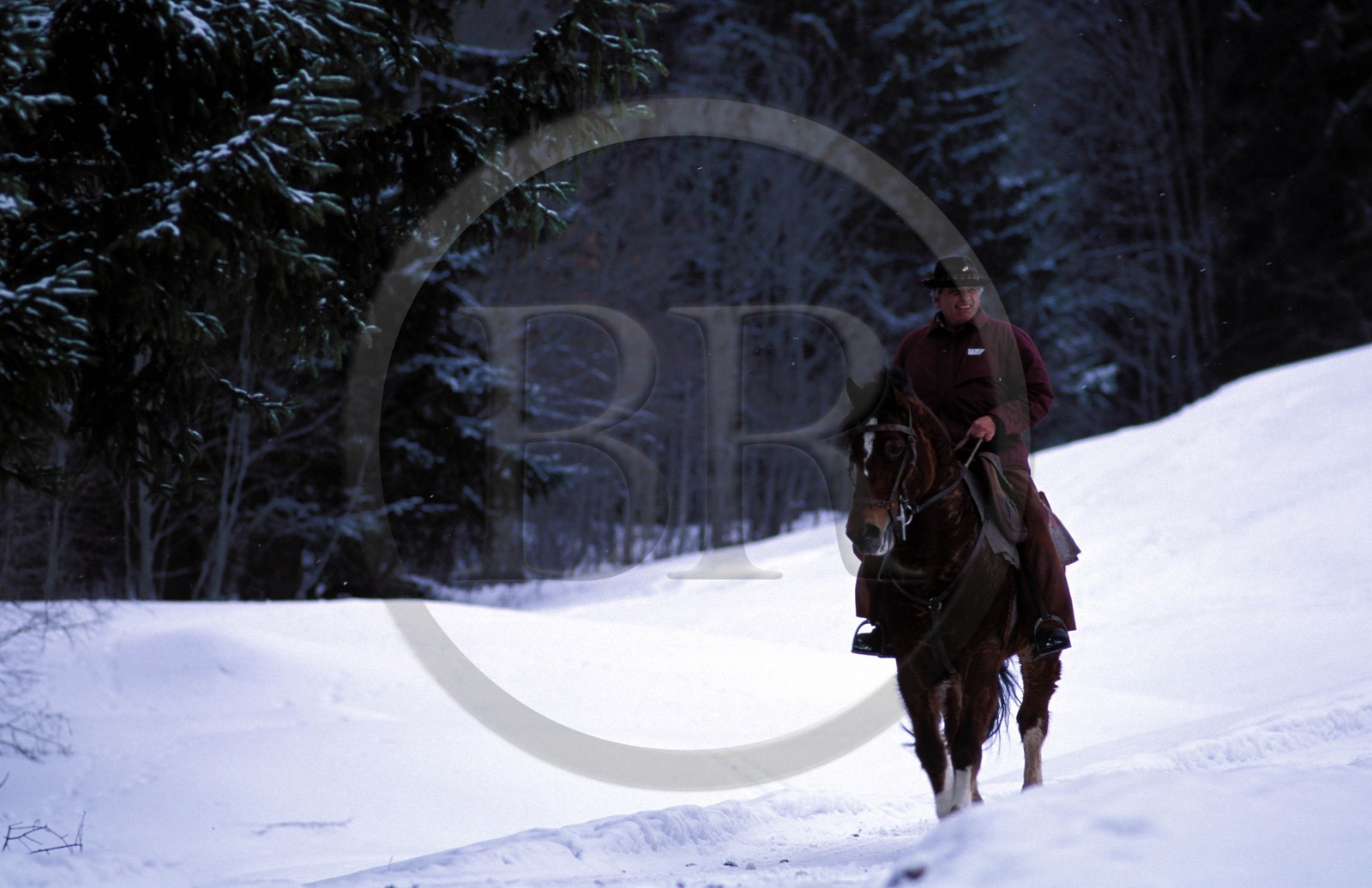 Suisse, région de Bern (Oberland Bernois), Saanenland, Gstaad, postier à cheval effectuant sa tournée dans la neige