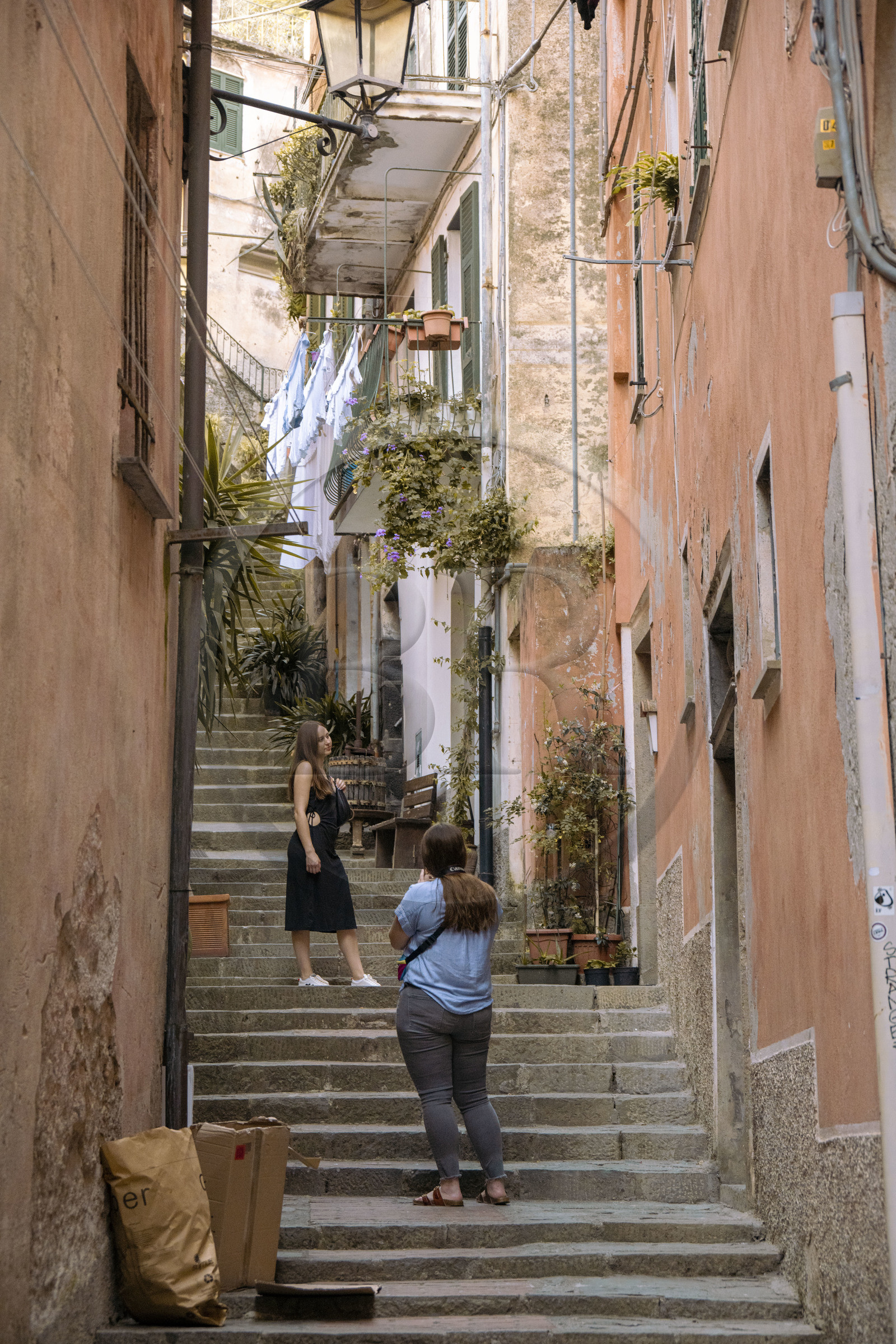 Italie, Ligurie, Cinque Terre, parc national des Cinque Terre classé Patrimoine Mondial de l'UNESCO, village de Monterosso al Mare, une ruelle en escalier du vieux village