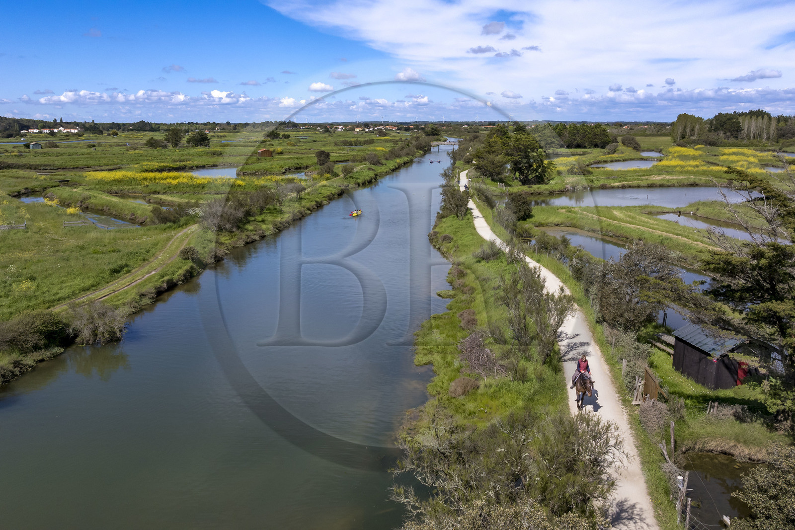 France, Vendée (85), Les-Sables-d'Olonne, marais de l'Auzance, cavalier et cyclistes sur la piste de la véloroute Vendée Vélo Tour et Vélodyssée le long du canal de la Bauduère (vue aérienne)