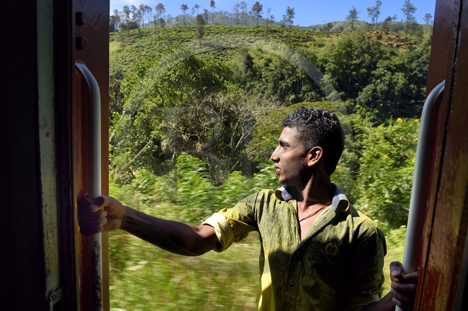 Sri Lanka, Uva Province, the popular scenic train ride through the tea growing hill country between Badulla and Ella, passenger hanging on the door