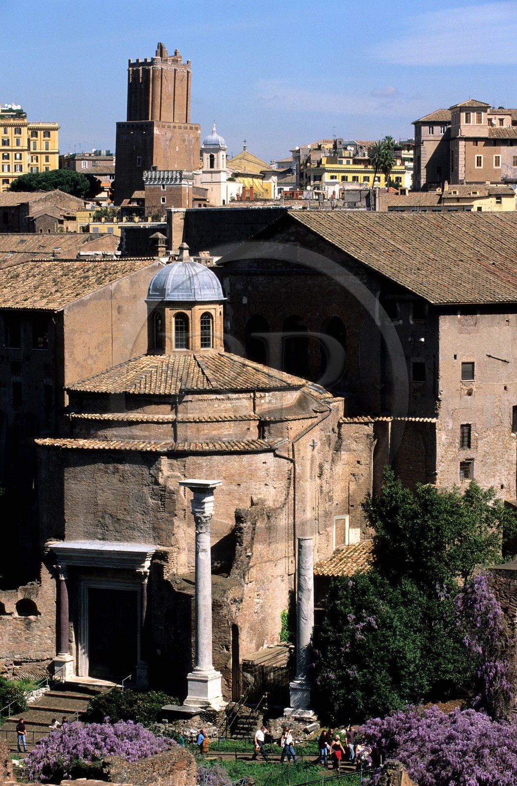 Italie, Latium, Rome, le Forum romain