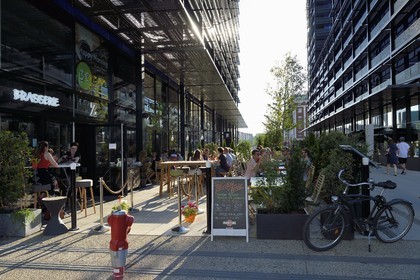 France, Bas-Rhin (67), Strasbourg, amenagement du port du Rhin et reconversion du mole du Bassin d'Austerlitz, presqu'ile Malraux, immeubles les Black Swans par l’architecte Anne Demians