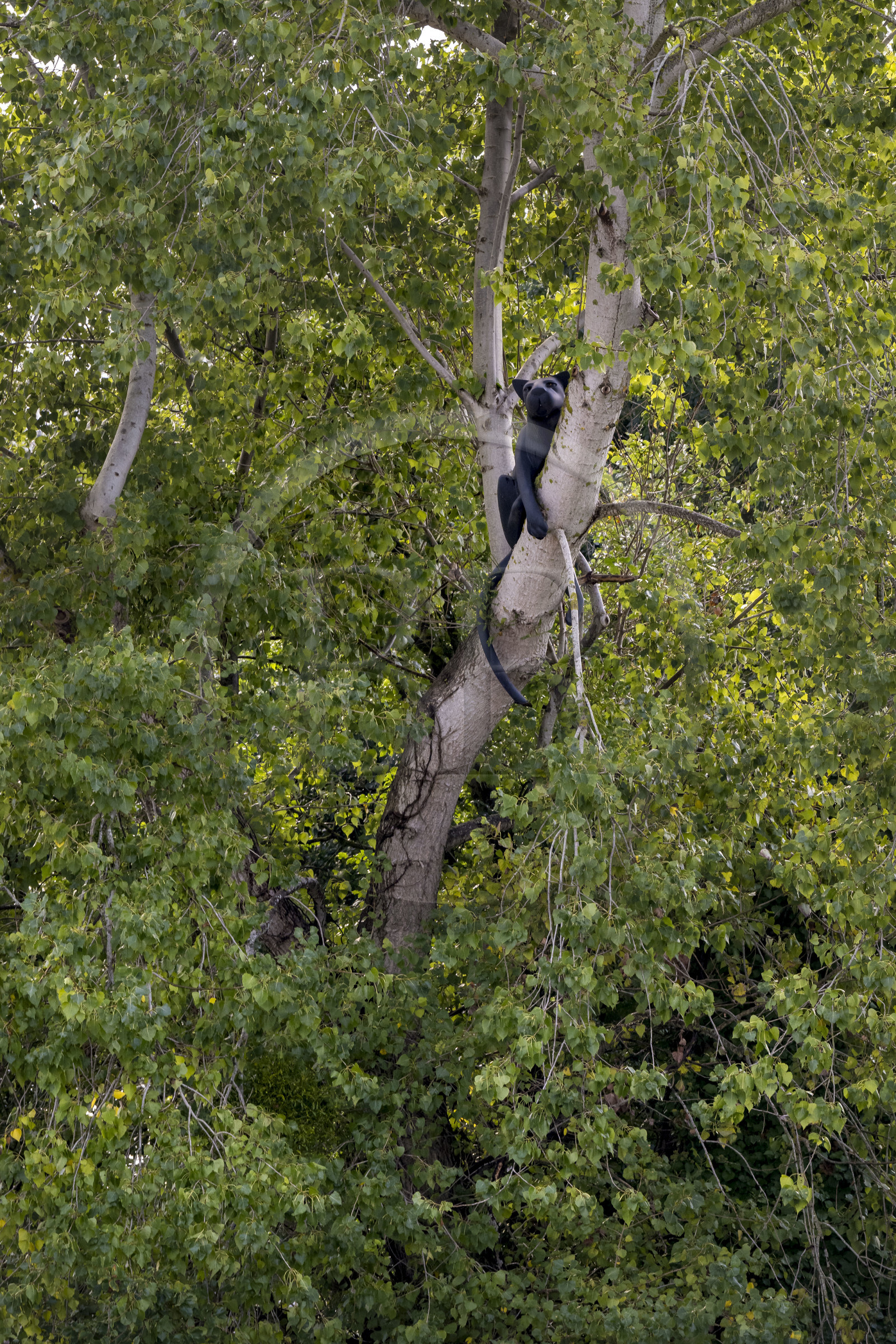 France, Loire-Atlantique (44), Bouguenais, Port Lavigne sur les rives de la Loire, collection d'art contemporain à ciel ouvert Estuaire, The Settlers (“Les Colons”) réalisé par l'artiste américaine Sarah Sze, sculpture d'un jaguar qui se prélasse sur une branche