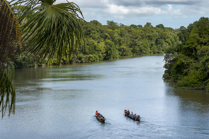 France, Guyane, Kourou, Camp Maripas, course de deux pirogues P12 (pirogue traditionnelle Guyanaise adaptée en résine) sur le fleuve Kourou (vue aérienne)