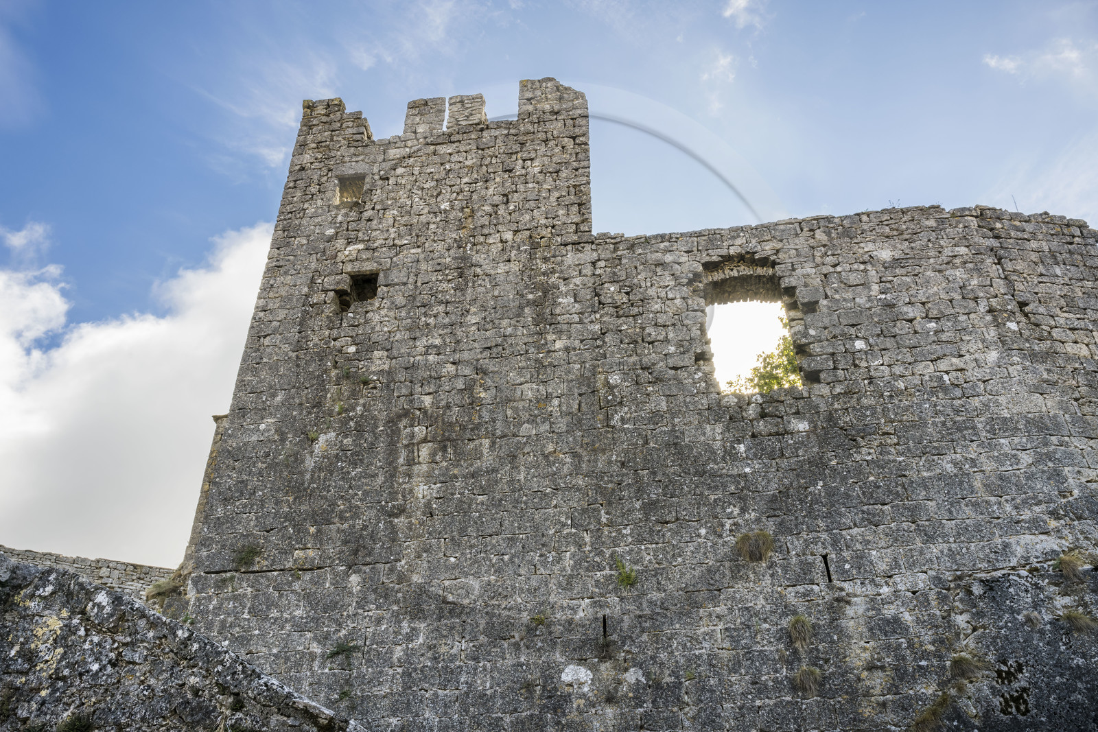 France, Aveyron, Causses and the Cévennes, cultural landscape of Mediterranean agro-pastoralism, listed as World Heritage by UNESCO, La Couvertoirade, labelled Les Plus Beaux Villages de France, castle built by the order of the Temple (The Most Beautiful Villages of France), fortified village on the Larzac plateau, the castle built by the Templars
