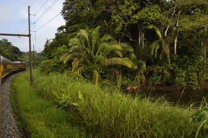 Panama, Panama Canal Railway, ligne de train historique qui relie la ville de Panama et Colon en longeant le canal de Panama et traversant l'isthme