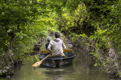 France, Vendee, Parc Interregional du Marais Poitevin labellised Grand Site de France (Interregional Park of the Marais Poitevin labelled Great Site of France), Maillezais, boat trip with a boatman on the tributaries of the Autise river
