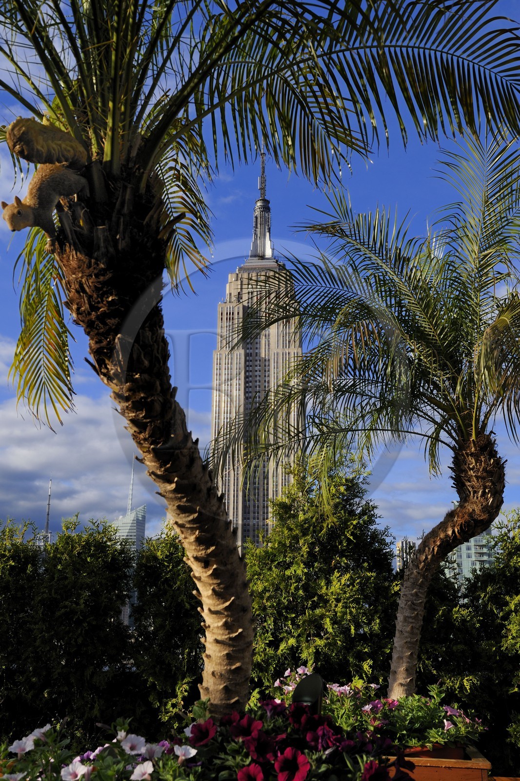 Etats-Unis, New York, Manhattan, Midtown, terrasse du café branché Le 230 sur la 5ème Avenue et l'Empire State Building